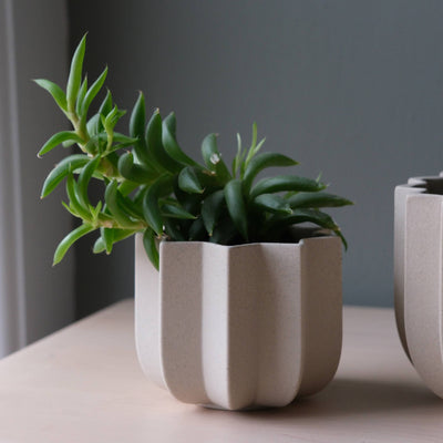 4" Wrap Ceramic Planter | Dune