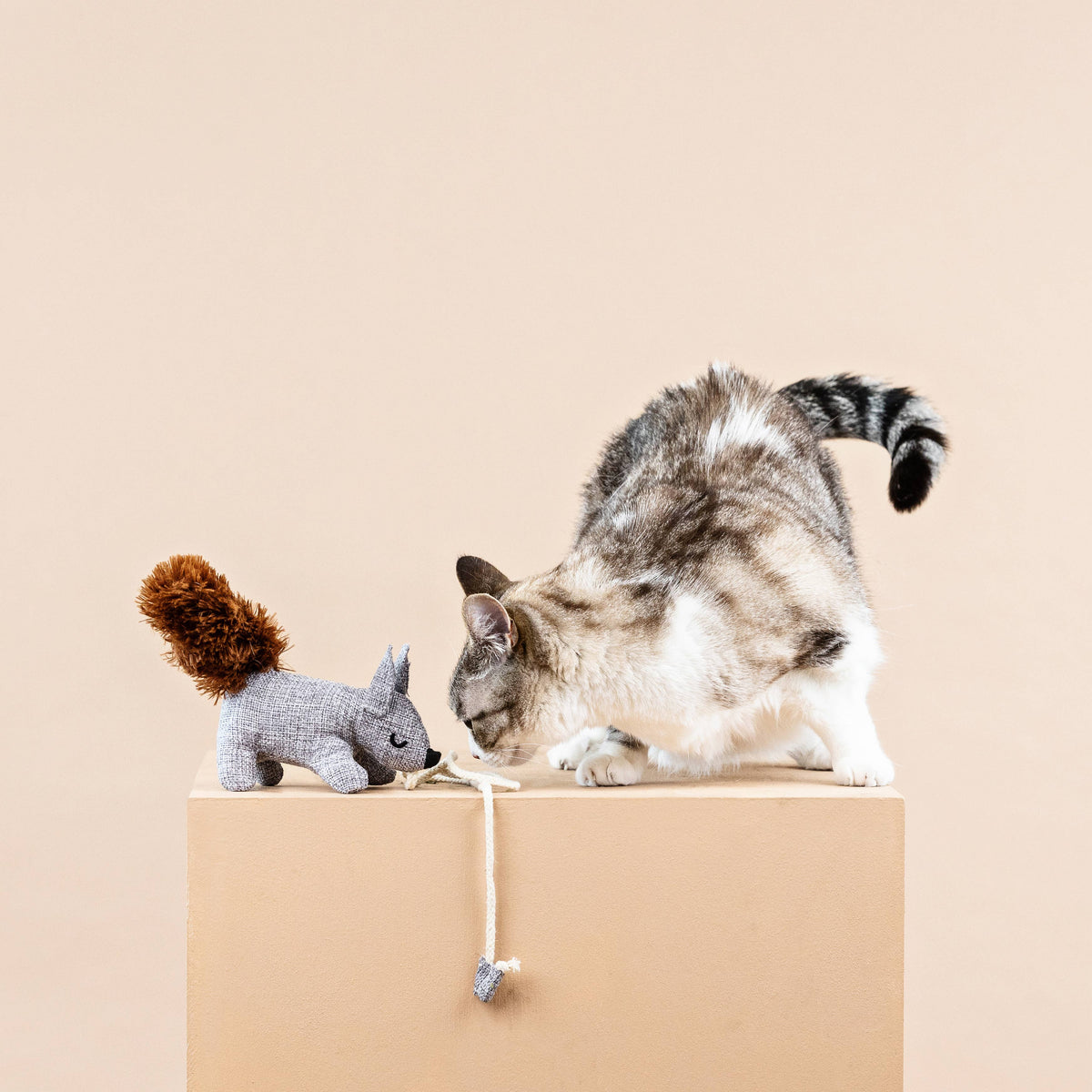 One Tuff Nut Teaser Cat Toy