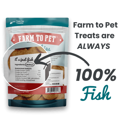Fish Chips Dog Treats