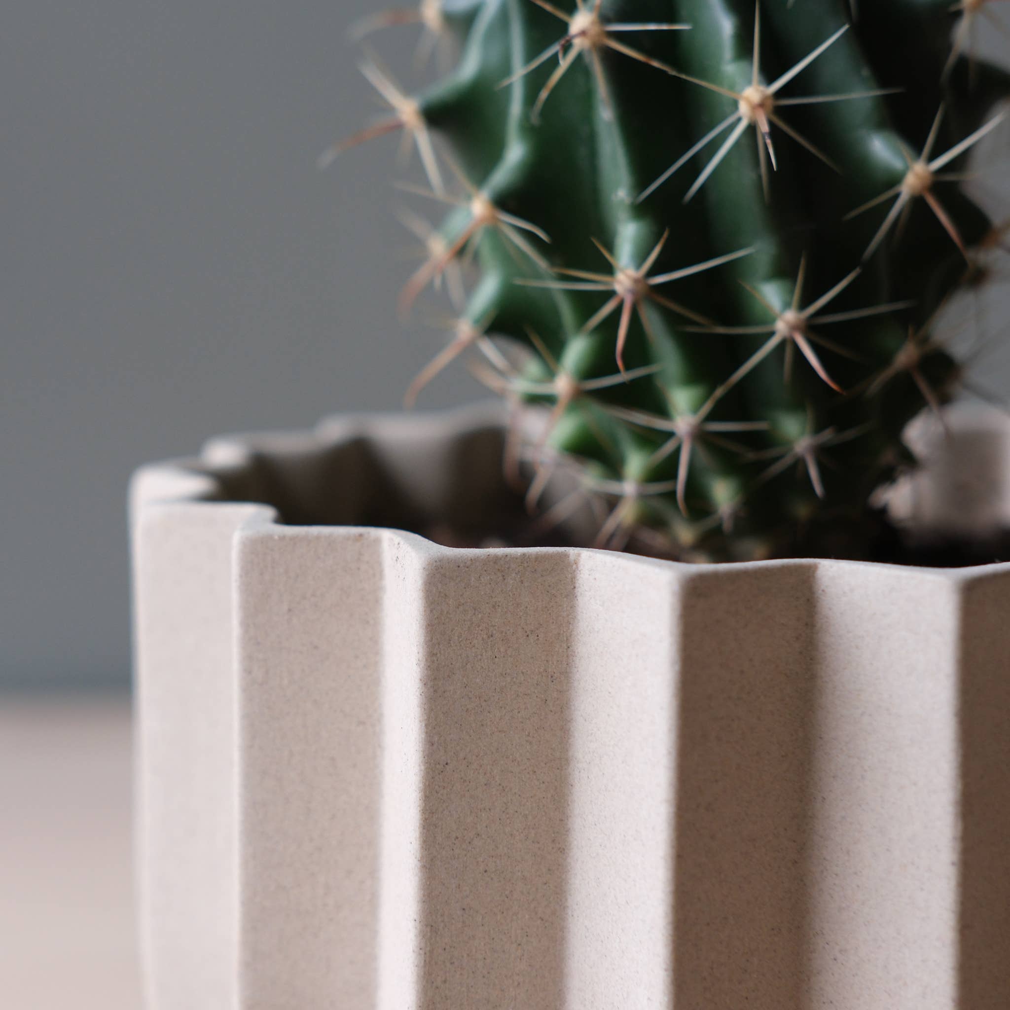 7" Wrap Ceramic Planter | Dune