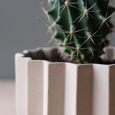7" Wrap Ceramic Planter | Dune