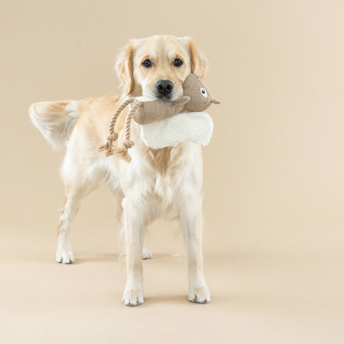 Bring More Nuts Squirrel Dog Toy