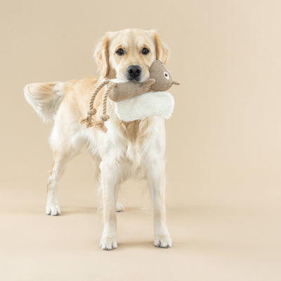 Bring More Nuts Squirrel Dog Toy