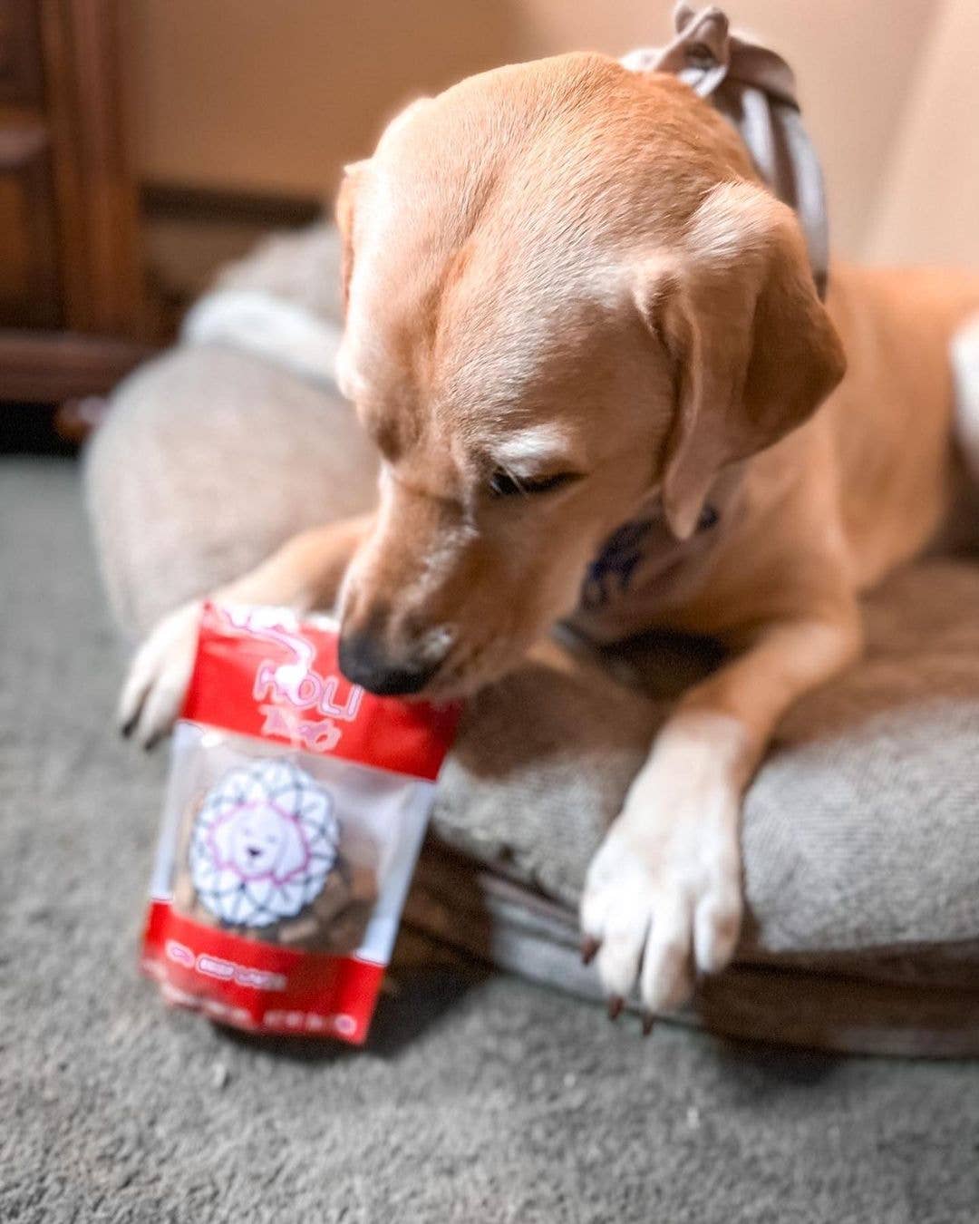 HOLI Beef Liver Dog Treats - All Natural - Freeze Dried