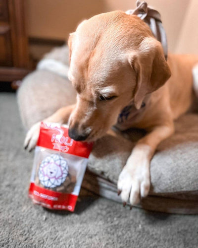 HOLI Beef Liver Dog Treats - All Natural - Freeze Dried