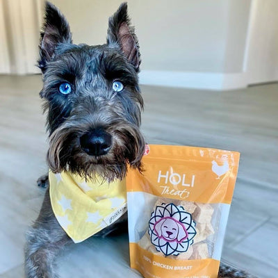HOLI Chicken Dog Treats - All Natural Breast Meat - Freeze Dried