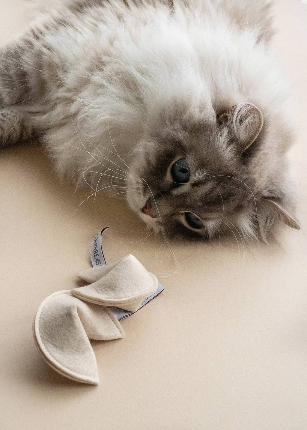 KITTY FORTUNE COOKIE Organic Catnip Cat Toy
