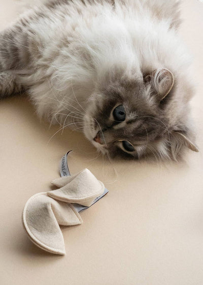 KITTY FORTUNE COOKIE Organic Catnip Cat Toy