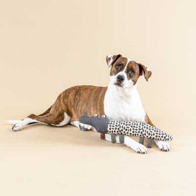 Croc My World Canvas Dog Toy